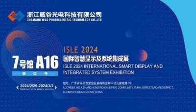 2024国际智慧显示及系统集成展